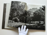 21 Icons Portrait Photography - South Africa