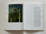 Creation: Modern Art and Nature