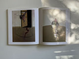 Francis Bacon Figurabile