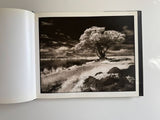 On This Earth: Photographs from East Africa