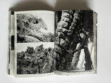 Man Ray: Photographs