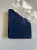 Museum Fridericianum Echelot