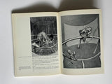 Interviews with Francis Bacon