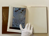 Chris Ofili by Judith Nesbitt