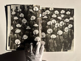 Raul Corrales: Cuba- La Imagen Y La Historia