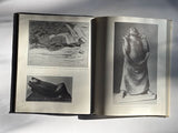 Ernst Barlach (Die Blauen Bocher)