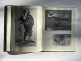 Ernst Barlach (Die Blauen Bocher)