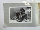 Sam Nhlengethwa : Standard Bank Artist of the Year 1994