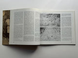 Cyprian Mpho Shilakoe Revisited – Addleson, Jill (Curator)