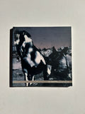 Jo Ractliffe: Selected works 1992 -1999