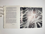 Hantaï : Venise 1982