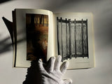 Art Nouveau: Robert Schmutzler (Thames and Hudson)