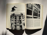 Art Nouveau: Robert Schmutzler (Thames and Hudson)