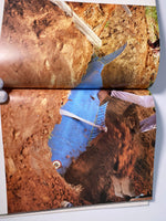 Going into Darkness: Fantastic Coffins from Africa