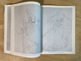 Gustav Klimt: 100 Drawings
