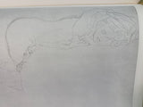Gustav Klimt: 100 Drawings