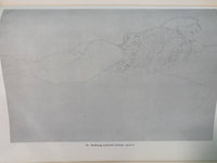Gustav Klimt: 100 Drawings