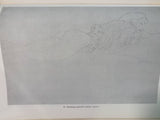 Gustav Klimt: 100 Drawings