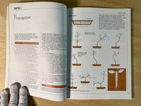 The Art of Indoor Bonsai by John Ainsworth