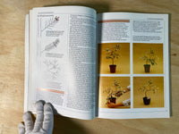 The Art of Indoor Bonsai by John Ainsworth