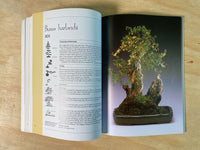 The Art of Indoor Bonsai by John Ainsworth
