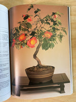 The Art of Indoor Bonsai by John Ainsworth