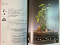 The Art of Indoor Bonsai by John Ainsworth