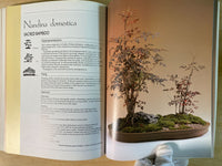 The Art of Indoor Bonsai by John Ainsworth