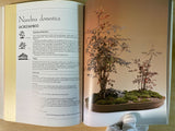 The Art of Indoor Bonsai by John Ainsworth