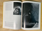 Goya by Sarah Symmons