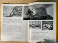 Goya by Sarah Symmons
