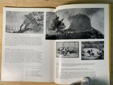 Goya by Sarah Symmons