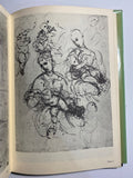 The Drawings Of Raphael by Richard Cocke