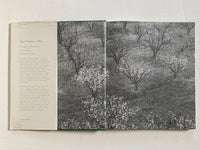 Ansel Adams: Trees