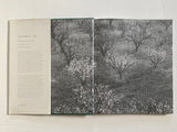 Ansel Adams: Trees
