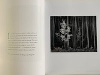 Ansel Adams: Trees