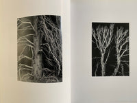 Ansel Adams: Trees