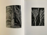 Ansel Adams: Trees
