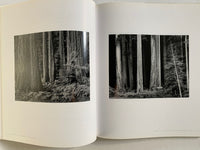 Ansel Adams: Trees