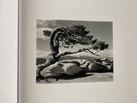 Ansel Adams: Trees