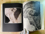 Michelangelo's Three Pietas: A Photographic Study