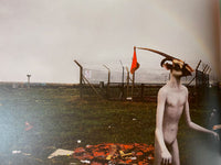 Artisti A Castagnoli: Biennale Internazionale D'Arte (Compilation of South African Artists)