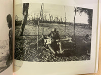 Shaken Roots by Paul Weinberg