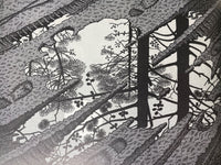 The Graphic Works of M.C. Escher