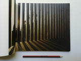 Your Black Horizon - Art Pavilion: David Adjaye / Olafur Eliasson