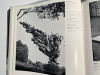 The Hakone Open-Air Museum