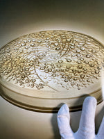 The Art of Rene Lalique by Patricia Bayer (Author), Mark Waller  (Author)