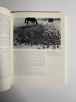 Sculpting in Time by Andrei Tarkovsky