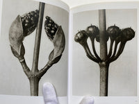 Karl Blossfeldt (TASCHEN Icons Series)