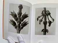 Karl Blossfeldt (TASCHEN Icons Series)